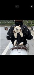 うきゃ