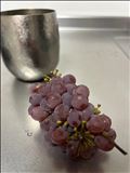ぶどうは、やっぱりデラウェアなのかな