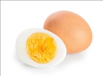 ちか・◯どうしてん◯