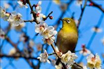 ちか・◯爽快◯