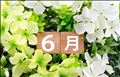 ☆ウェルカム6月☆