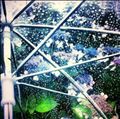 ☆また来る☆
