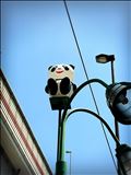 空中パンダ