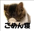 本日休み