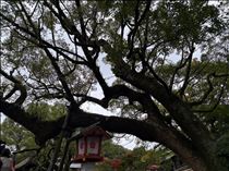 れな・福岡旅行1日目前半♡