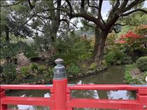 れな・福岡旅行1日目前半♡