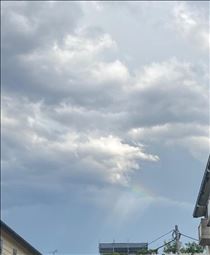 もも・雨は上がってたけど。
