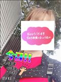 本日出勤