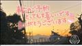 おやすみなさい