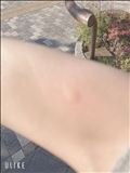 そんな季節
