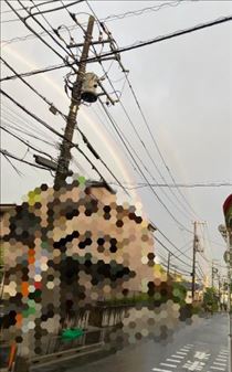 もも・幸運のお裾分け