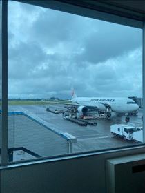 もも・帰京します