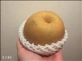 今年も終わり