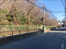 もも・楽しみ～