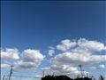 秋晴れ日曜日