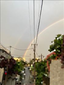 もも・幸運のお裾分け