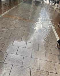 もも・雨上がったけど。