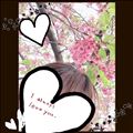 河津桜🌸祭り～✨