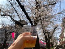 もも・お花見日和～