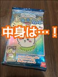 次回20:45～