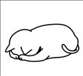 今週のお知らせ