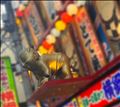 後ろから