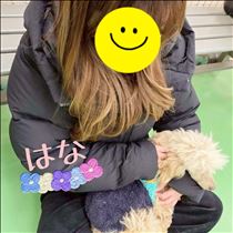 はな・パラダイス⁽⁽٩(๑˃̶͈̀ ᗨ ˂̶͈́)۶⁾⁾