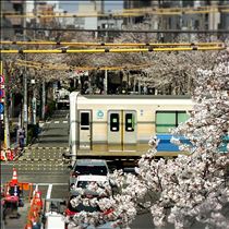 はな・念願の場所(๑ơ ₃ ơ)