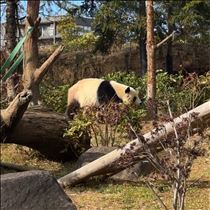 はな・はじめまして( ੭˙ᗜ˙)੭