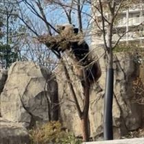 はな・はじめまして( ੭˙ᗜ˙)੭