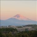 今年初の富士山(*^ω^*)