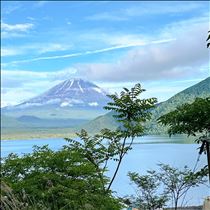 はな・今の心境( ･᷄ ~ ･᷅  )