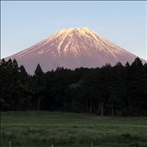 はな・紅富士ーーーヾ(๑⃙⃘´ꇴ｀๑⃙⃘)ﾉ