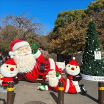 はな・クリスマスムード一色(ꕤ ॑꒳ ॑*)ﾉ