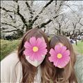 お花見～(✿•᎑•✿)