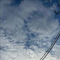 すみれ・空が高い～??