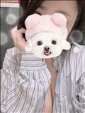 おやすみなさい(*´?`*)
