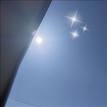 すみれ・おはようございます??