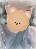 おはようございます?