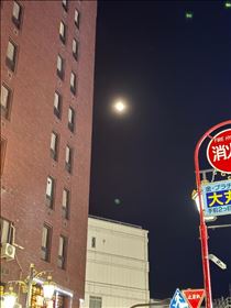 すみれ・ありがとうございました?