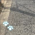 本日出勤します?
