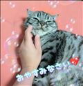 おやすみなさい♡