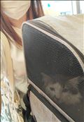 みんなでワクチン