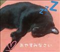 おやすみなさい♡