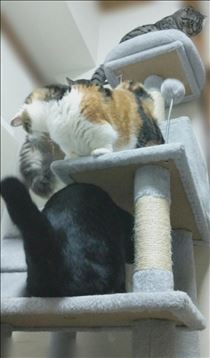 たくさん🤣