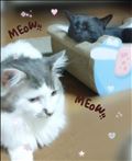 明日はお休みです(^^ゞ