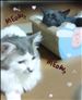 明日はお休みです(^^ゞ