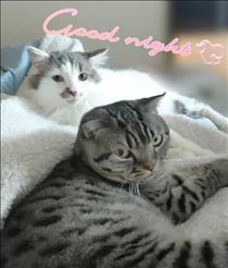 みいな・明日も出勤します( ´∀`)
