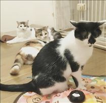 みいな・生活感のある休日(^ω^)