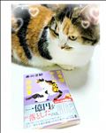 三毛猫ホームズ🕵️